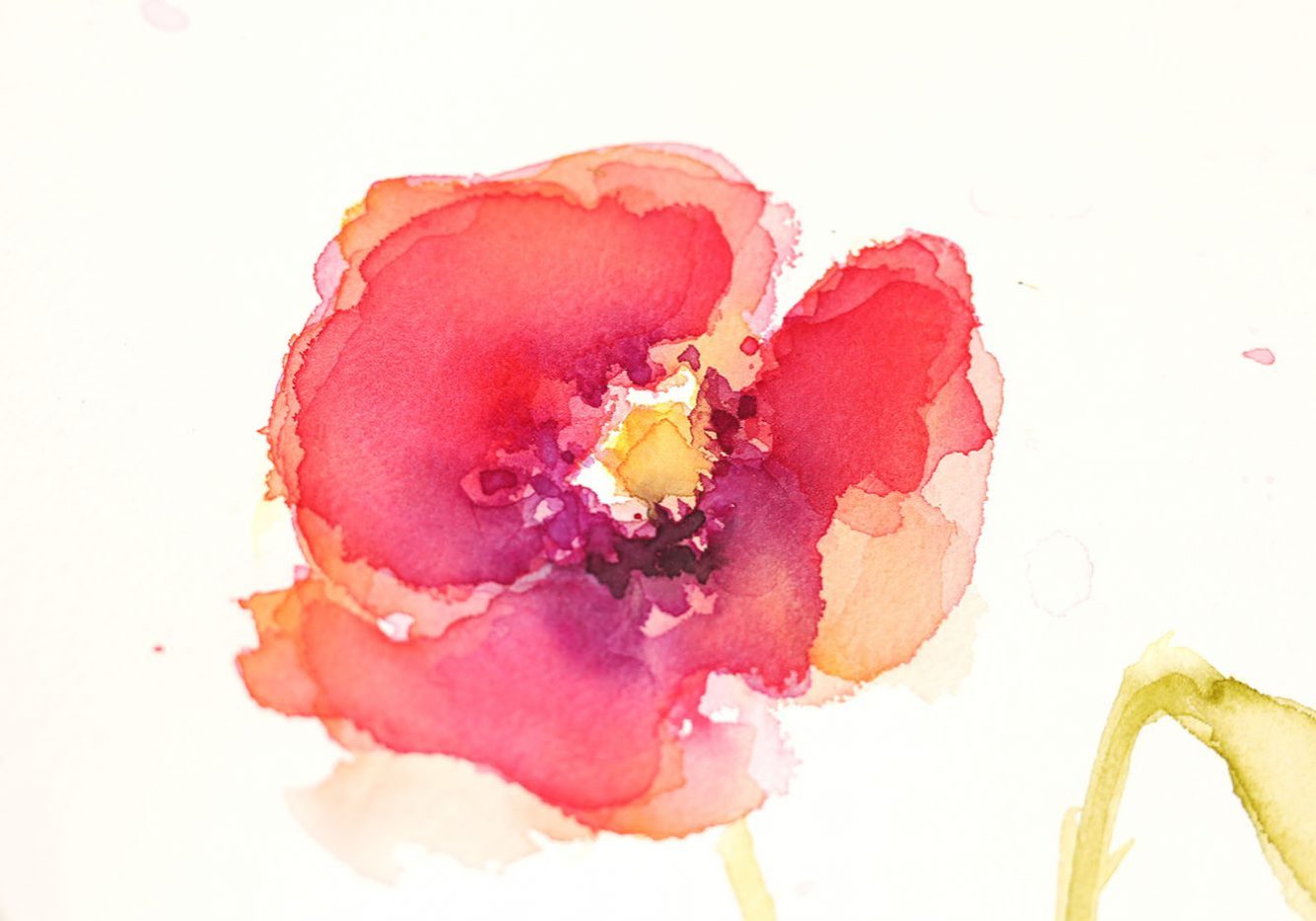 JRGalleryPoppyBlog