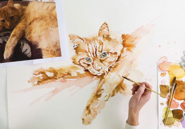 JRGalleryZebTheCat