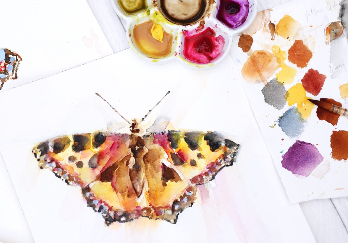 Butterfly Garden