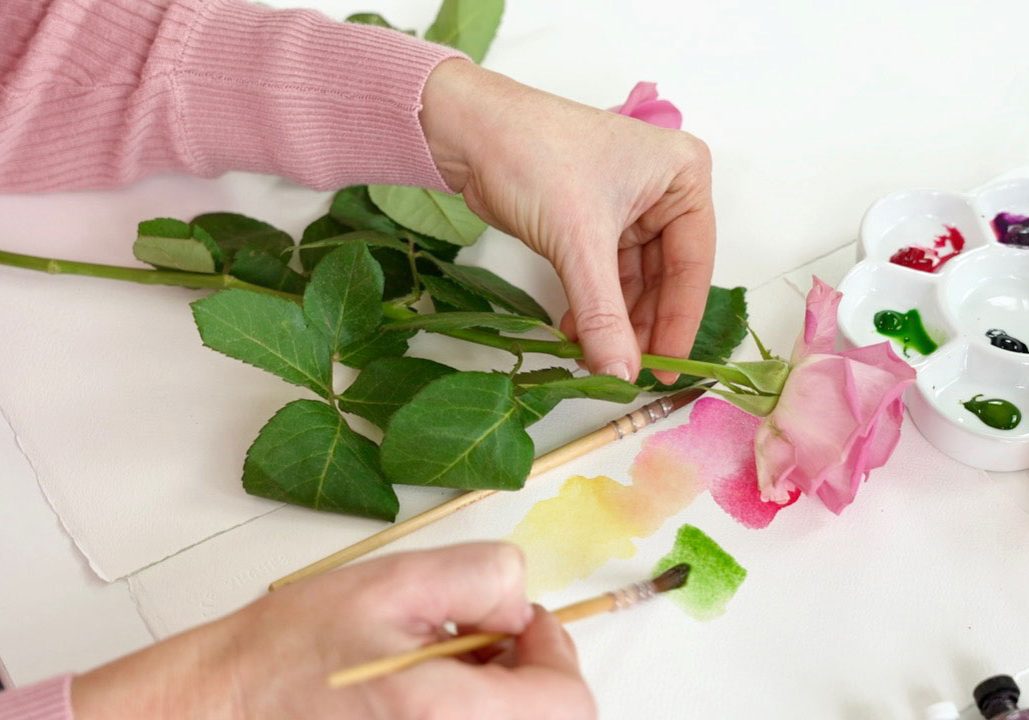 RoseClass1