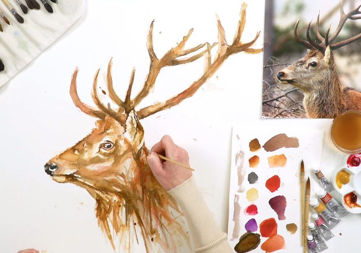 Stag1